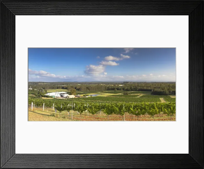 Framed Print : Lakes Folly Wine Estate, Hunter Valley, New South Wales, Australia