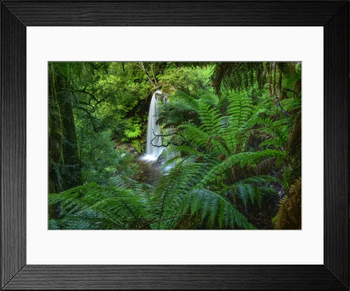Framed Print : Australia, Tasmania, Central Highlands, Mount Field National Park, Russel Falls Framed Print : Australia, Tasmania, Central Highlands, Mount Field National Park, Russel Falls