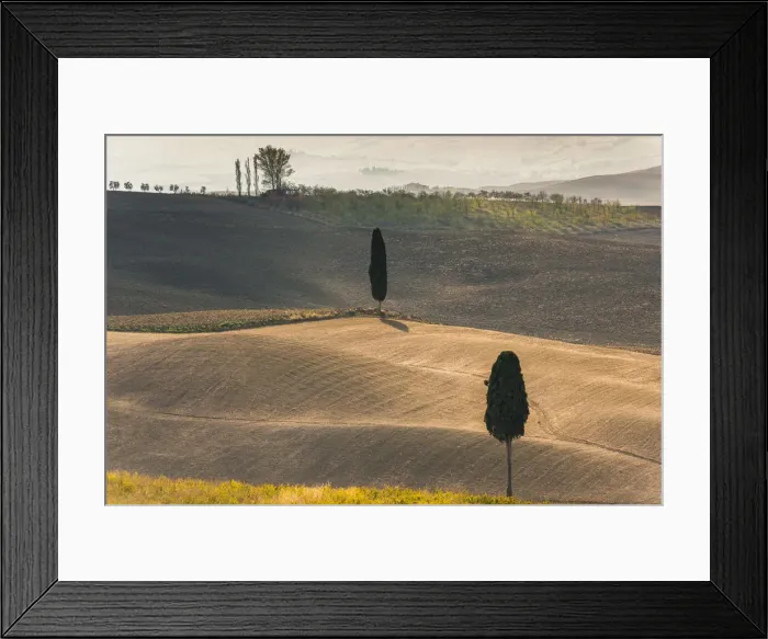 Framed Print : Podere Terrapille, Pienza, Val d Orcia, Tuscany, Italy, Europe Framed Print : Podere Terrapille, Pienza, Val d Orcia, Tuscany, Italy, Europe