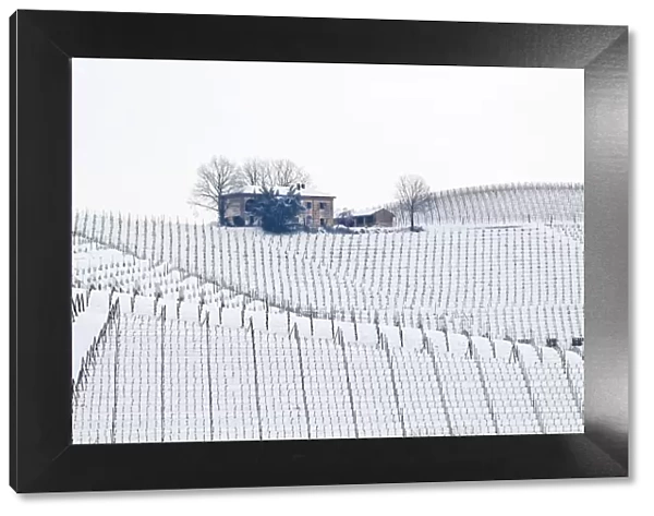 Langhe, Cuneo district, Piedmont, Italy. Langhe wine region winter snow, fontanafredda