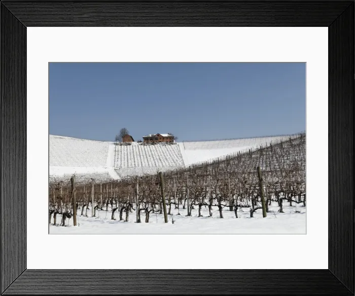 Framed Print : Langhe, Cuneo district, Piedmont, Italy. Langhe wine region winter snow, Fontanafredda