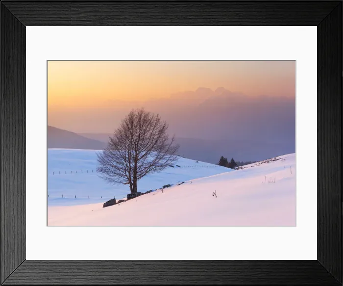 Framed Print : A lonely beech on snowy pastures of Mezzomiglio with Schiara group on background Framed Print : A lonely beech on snowy pastures of Mezzomiglio with Schiara group on background