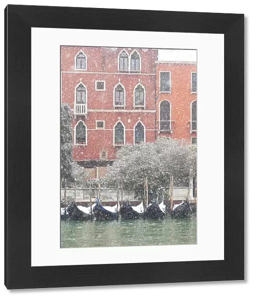 Some traditional venetian gondolas moored at Riva del Vin during a snowfall, Grand Canal