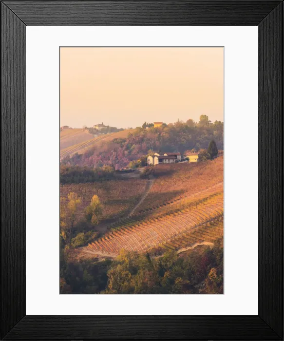 Framed Print : Barolo, Cuneo Province, Piedmont, Italy