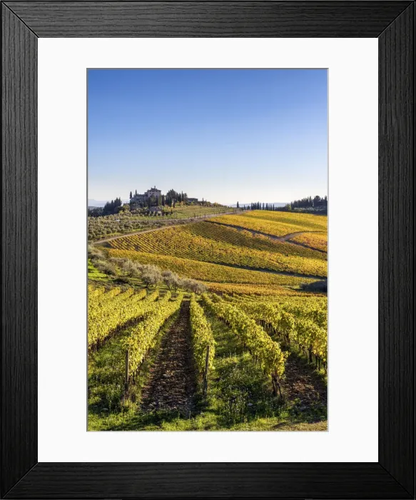 Framed Print : Farmhouse surrounded by vineyards. Gaiole in Chianti, Siena province, Tuscany, Italy Framed Print : Farmhouse surrounded by vineyards. Gaiole in Chianti, Siena province, Tuscany, Italy