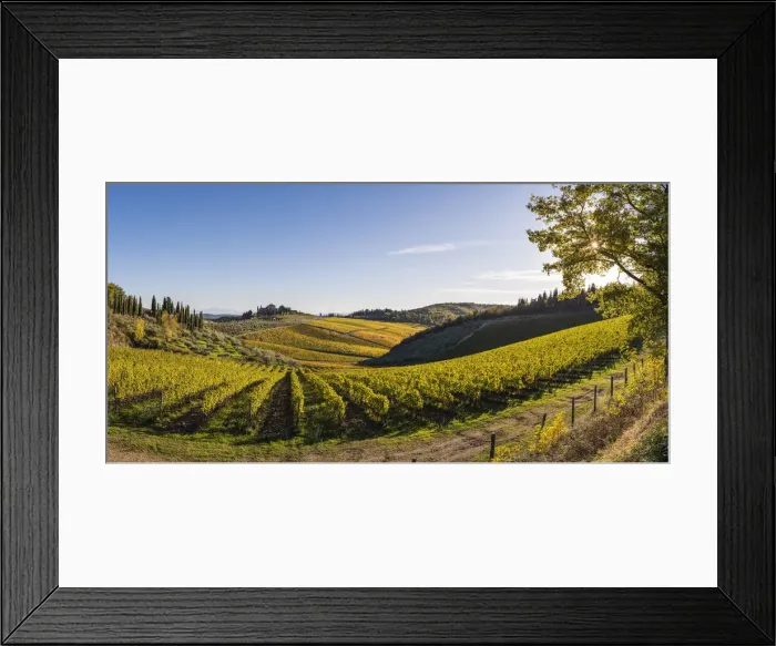 Framed Print : Farmhouse surrounded by vineyards. Gaiole in Chianti, Siena province, Tuscany, Italy Framed Print : Farmhouse surrounded by vineyards. Gaiole in Chianti, Siena province, Tuscany, Italy