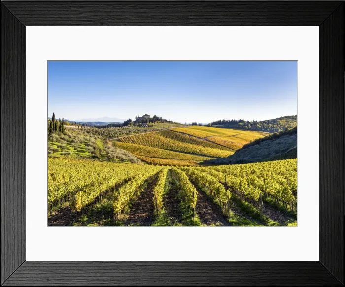 Framed Print : Farmhouse surrounded by vineyards. Gaiole in Chianti, Siena province, Tuscany, Italy Framed Print : Farmhouse surrounded by vineyards. Gaiole in Chianti, Siena province, Tuscany, Italy