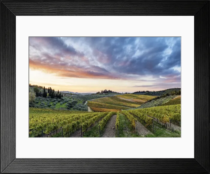 Framed Print : Farmhouse surrounded by vineyards at sunrise. Gaiole in Chianti, Siena province, Tuscany Framed Print : Farmhouse surrounded by vineyards at sunrise. Gaiole in Chianti, Siena province, Tuscany