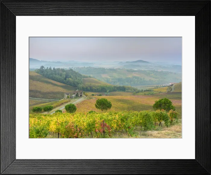 Framed Print : Oltrepo Pavese, Province of Pavia, Lombardy, Italy Framed Print : Oltrepo Pavese, Province of Pavia, Lombardy, Italy