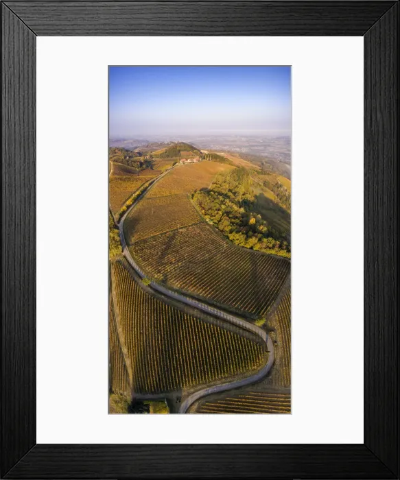Framed Print : Oltrepo Pavese, Province of Pavia, Lombardy, Italy Framed Print : Oltrepo Pavese, Province of Pavia, Lombardy, Italy