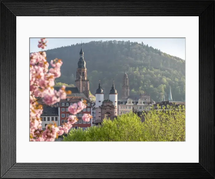 Framed Print : Old Bridge in Heidelberg in spring, Baden-Wurttemberg, Germany