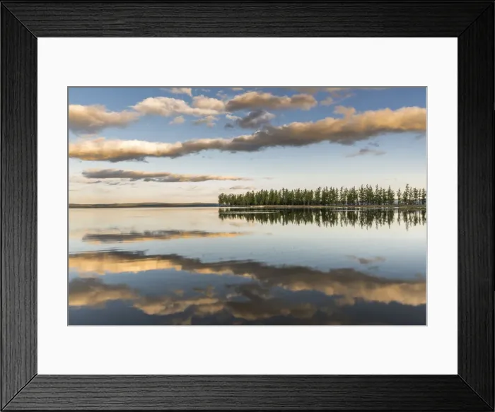 Framed Print : Fir trees and clouds reflecting on the suface of Hovsgol Lake at sunset. Hovsgol province Framed Print : Fir trees and clouds reflecting on the suface of Hovsgol Lake at sunset. Hovsgol province