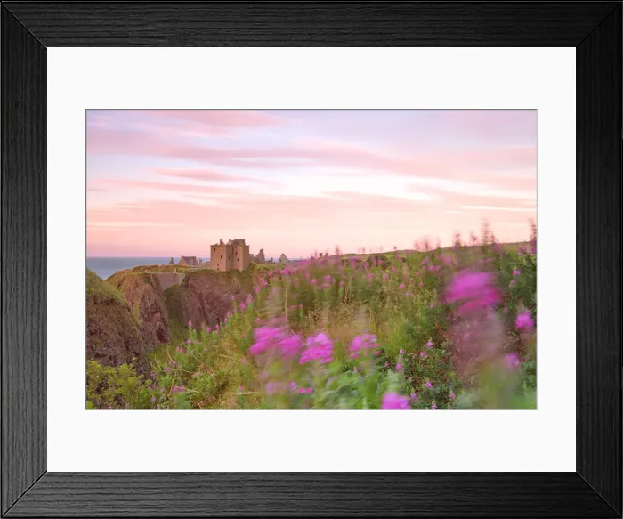Framed Print : Wind through the flowers at Dunottar castle, Stonehaven, eastern Scotland, United Framed Print : Wind through the flowers at Dunottar castle, Stonehaven, eastern Scotland, United