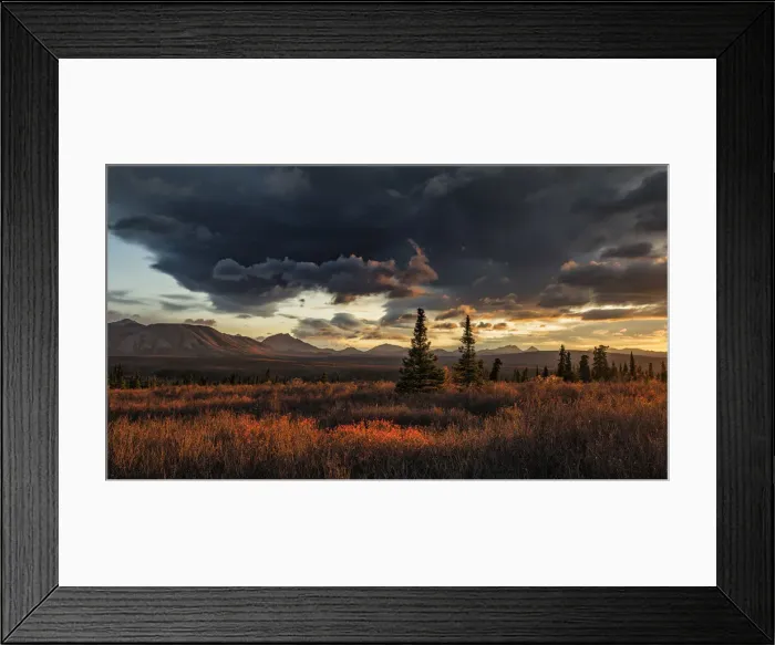 Framed Print : Denali National Park, Alaska, United States of America Framed Print : Denali National Park, Alaska, United States of America