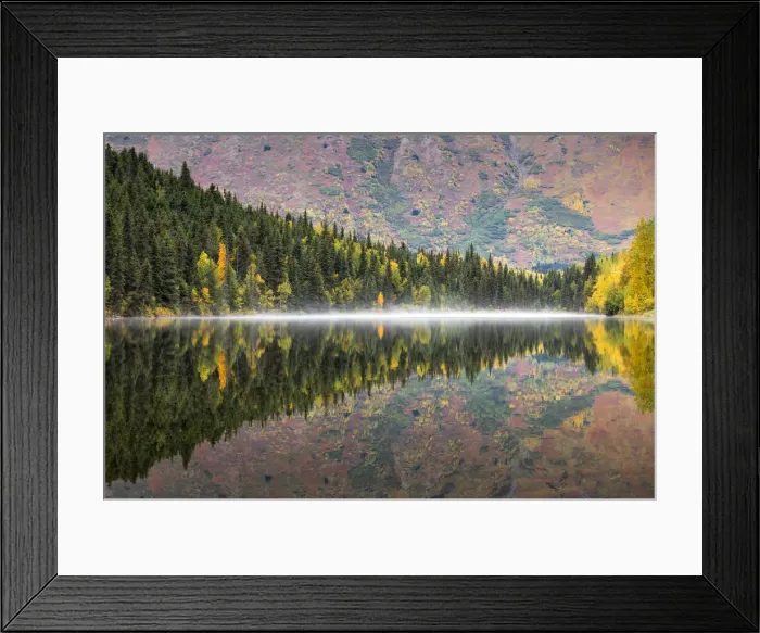 Framed Print : Kenai peninsula, Alaska, United States of America Framed Print : Kenai peninsula, Alaska, United States of America
