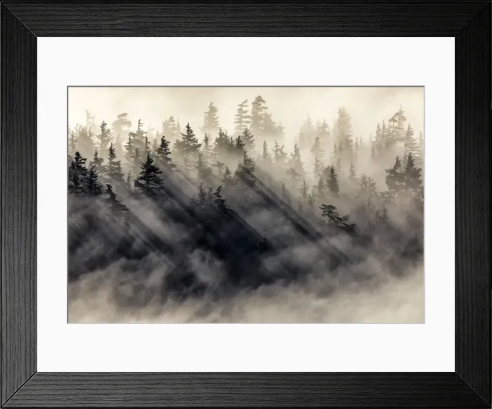 Framed Print : Chugach national forest, Kenai Peninsula, Alaska, United states of America Framed Print : Chugach national forest, Kenai Peninsula, Alaska, United states of America