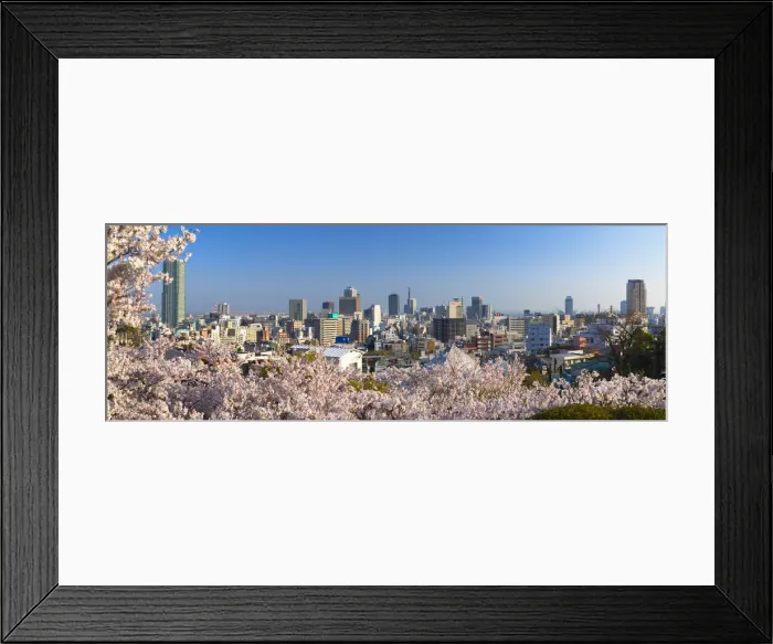Framed Print : Cherry blossom and view of Kobe skyline, Kobe, Kansai, Japan Framed Print : Cherry blossom and view of Kobe skyline, Kobe, Kansai, Japan