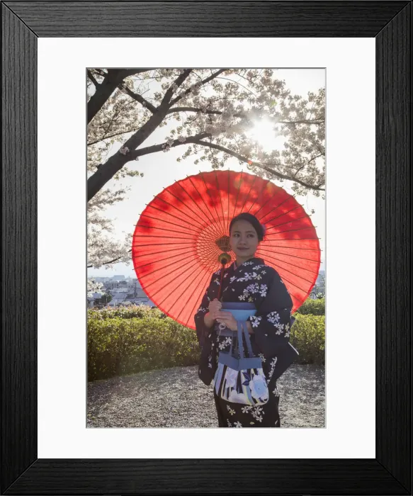 Framed Print : Woman in kimono under cherry blossom, Kyoto, Kansai, Japan (MR)