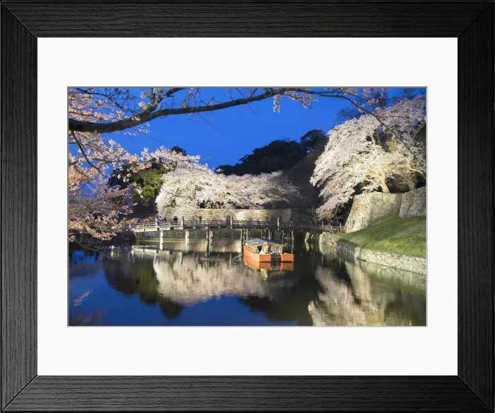 Framed Print : Cherry blossom and bridge at Hikone Castle at dusk, Hikone, Kansai, Japan Framed Print : Cherry blossom and bridge at Hikone Castle at dusk, Hikone, Kansai, Japan