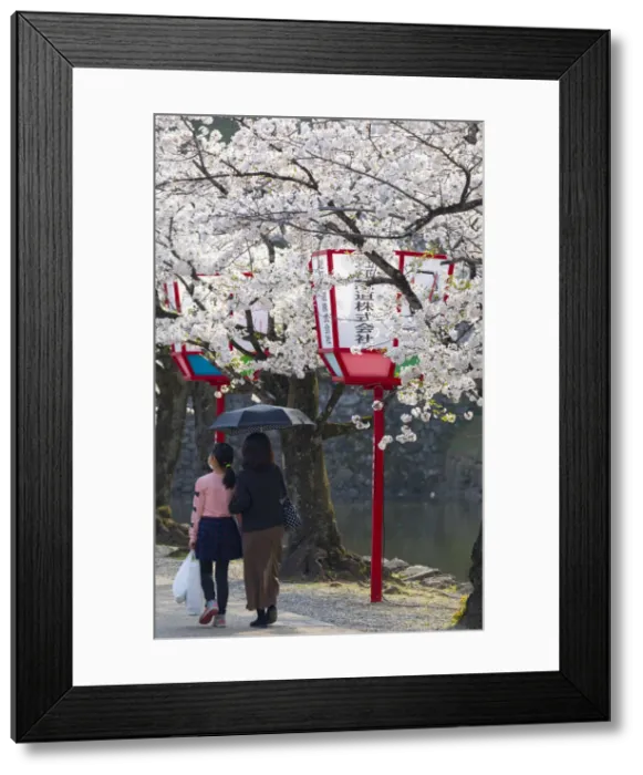 Framed Print : People walking past cherry blossom and moat at Hikone Castle, Hikone, Kansai, Japan Framed Print : People walking past cherry blossom and moat at Hikone Castle, Hikone, Kansai, Japan