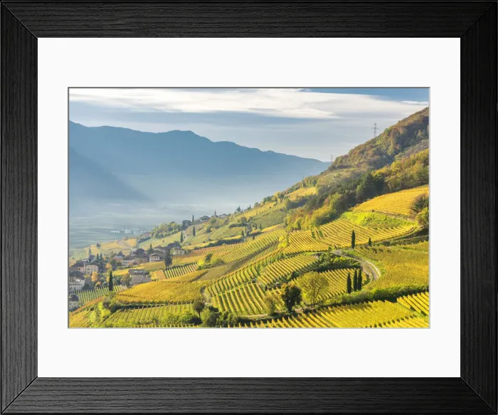 Framed Print : Termeno / Tramin, province of Bolzano, South Tyrol, Italy, Europe Framed Print : Termeno / Tramin, province of Bolzano, South Tyrol, Italy, Europe