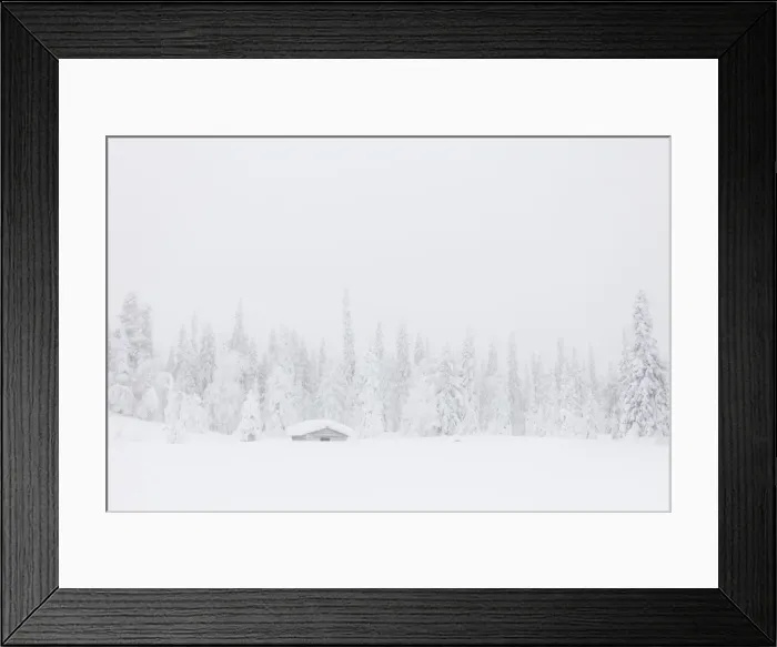 Framed Print : Mist on the snowy forest, Levi, Kittila, Lapland, Finland Framed Print : Mist on the snowy forest, Levi, Kittila, Lapland, Finland