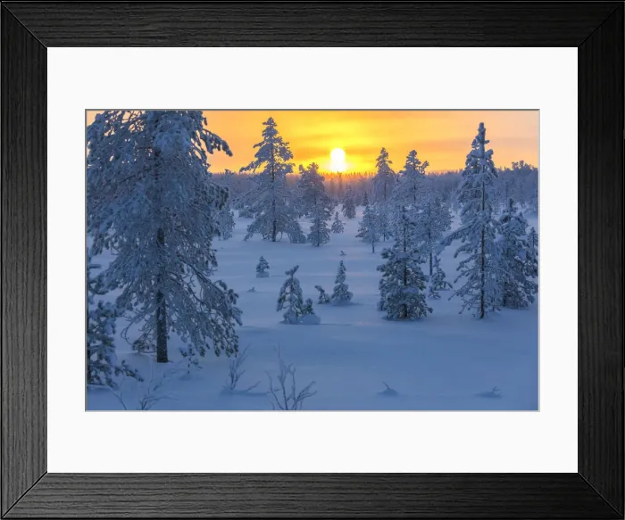 Framed Print : Sunset on frozen forest covered with snow, Luosto, Sodankyla municipality, Lapland