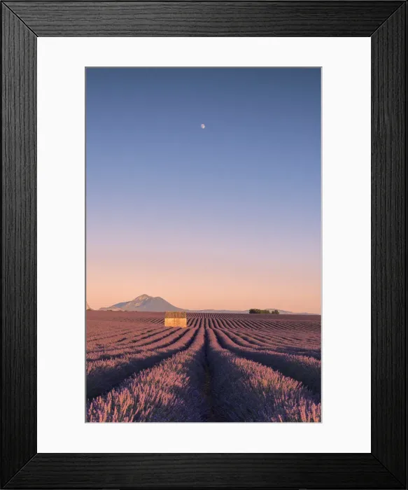 Framed Print : Valensole, Provence, France Framed Print : Valensole, Provence, France