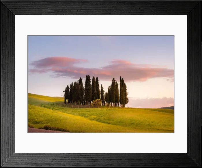 Framed Print : Cypresses at sunset in Orcia Valley. Siena district, Tuscany, Italy Framed Print : Cypresses at sunset in Orcia Valley. Siena district, Tuscany, Italy