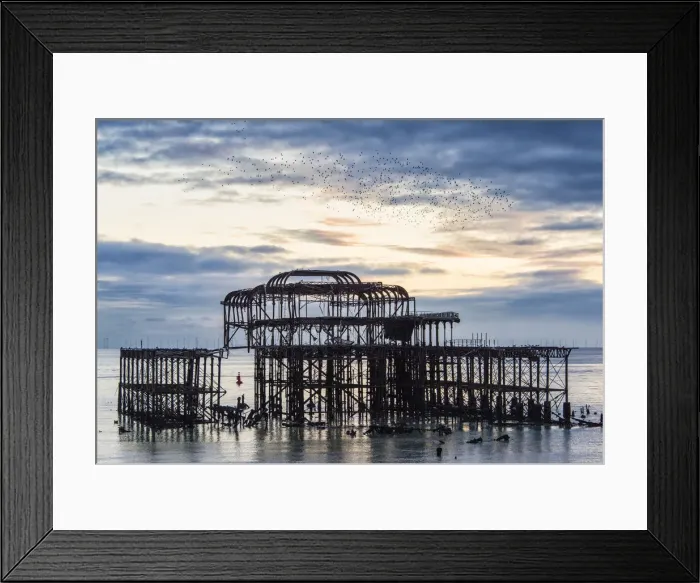 Framed Print : Starling murmuration above Brighton West Pier, East Sussex, England