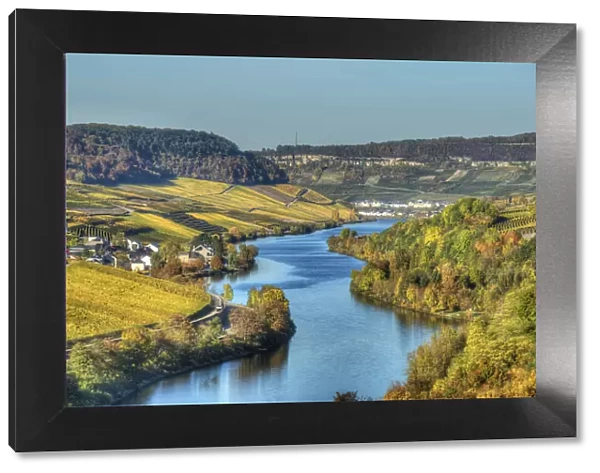 River Mosel with Nittel at fall, Rhineland-Palatinate, Germany