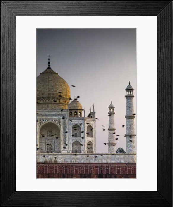 Framed Print : India, birds flock in front the Taj Mahal dome at sunset Framed Print : India, birds flock in front the Taj Mahal dome at sunset