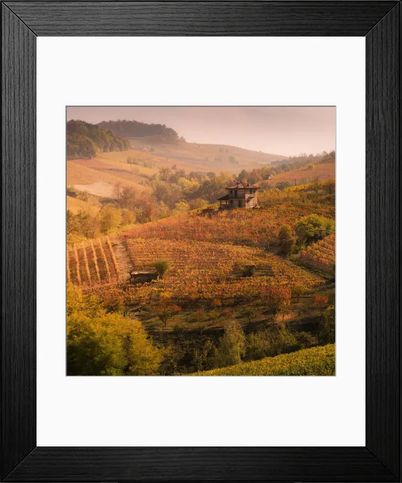 Framed Print : Langhe, Piedmont, Italy. Autumn landscape with vineyards and hills Framed Print : Langhe, Piedmont, Italy. Autumn landscape with vineyards and hills