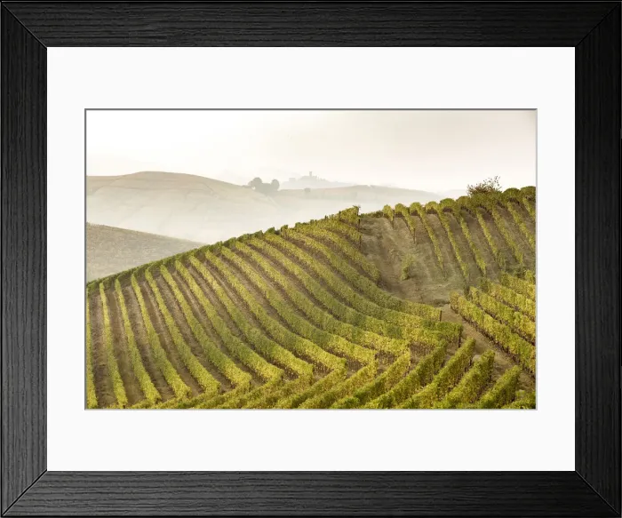 Framed Print : Langhe, Piedmont, Italy. Autumn landscape with vineyards and hills Framed Print : Langhe, Piedmont, Italy. Autumn landscape with vineyards and hills