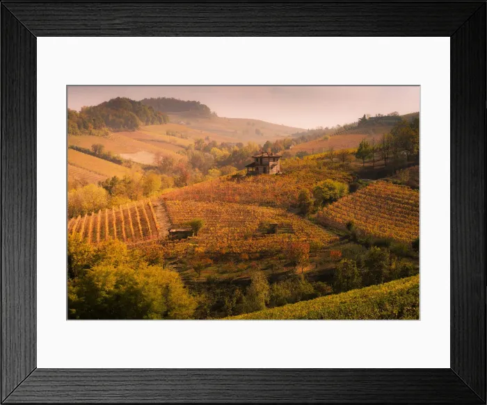 Framed Print : Langhe, Piedmont, Italy. Autumn landscape with vineyards and hills Framed Print : Langhe, Piedmont, Italy. Autumn landscape with vineyards and hills