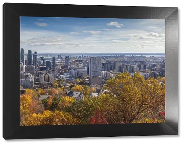 Canada, Quebec, Montreal, elevated city skyline from Mount Royal, autumn