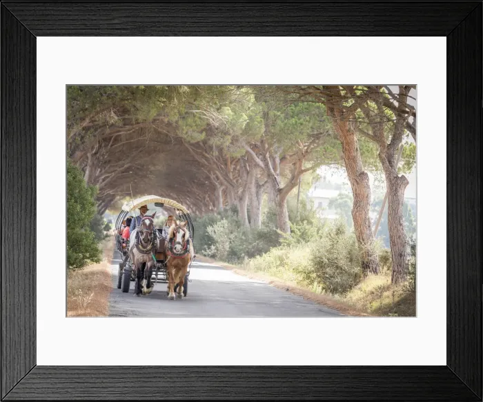 Framed Print : Italy. Tuscany. Grosseto district. Maremma. Alberese Framed Print : Italy. Tuscany. Grosseto district. Maremma. Alberese