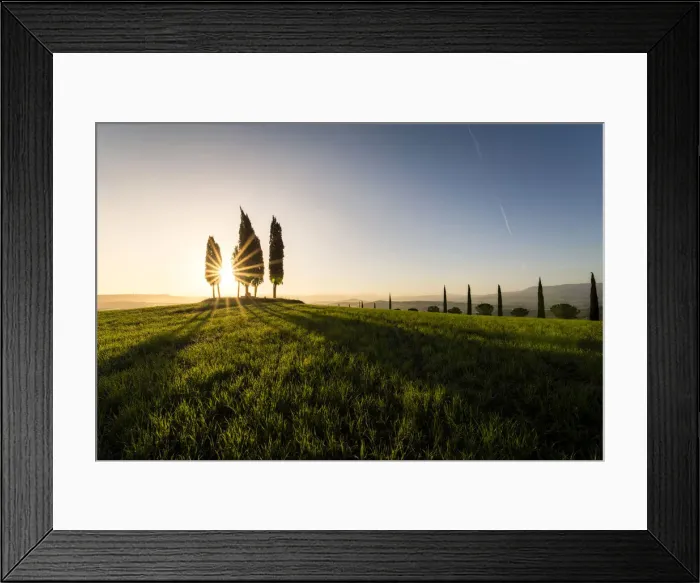 Framed Print : Sunburst and cypress trees at sunrise, Val d Orcia, Tuscany, Italy Framed Print : Sunburst and cypress trees at sunrise, Val d Orcia, Tuscany, Italy