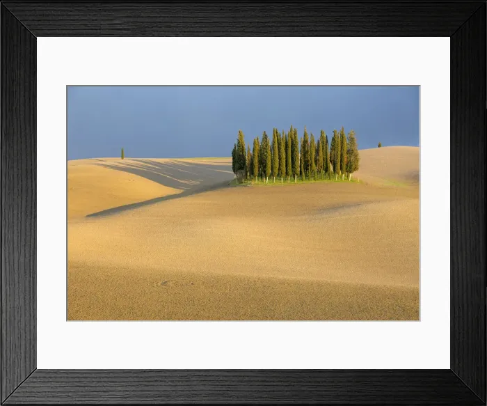 Framed Print : Cypress trees in Val d Orcia, plowed field and stormy weather. Tuscany, Italy Framed Print : Cypress trees in Val d Orcia, plowed field and stormy weather. Tuscany, Italy