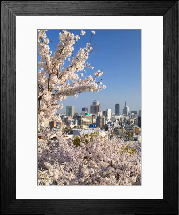 Framed Print : Cherry blossom and Kobe skyline, Kobe, Kansai, Japan Framed Print : Cherry blossom and Kobe skyline, Kobe, Kansai, Japan
