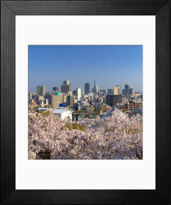 Framed Print : Cherry blossom and view of Kobe skyline, Kobe, Kansai, Japan