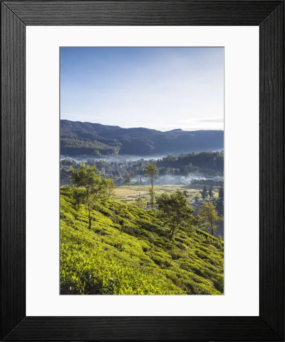 Framed Print : Sri Lanka, Nuwara Eliya, View of Nuwara Eliya