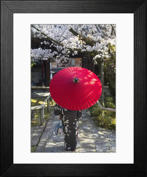 Framed Print : Woman in kimono at Anshoin temple, Kyoto, Kansai, Japan (MR)