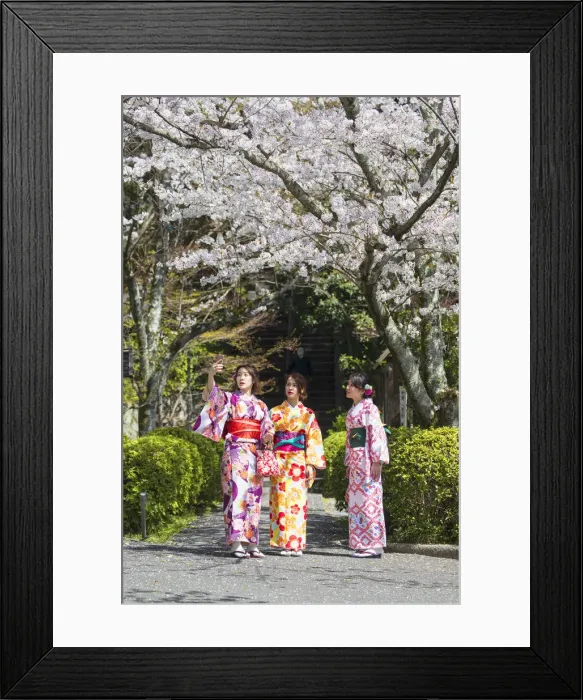 Framed Print : Women in kimonos in garden with cherry blossom, Kyoto, Kansai, Japan Framed Print : Women in kimonos in garden with cherry blossom, Kyoto, Kansai, Japan