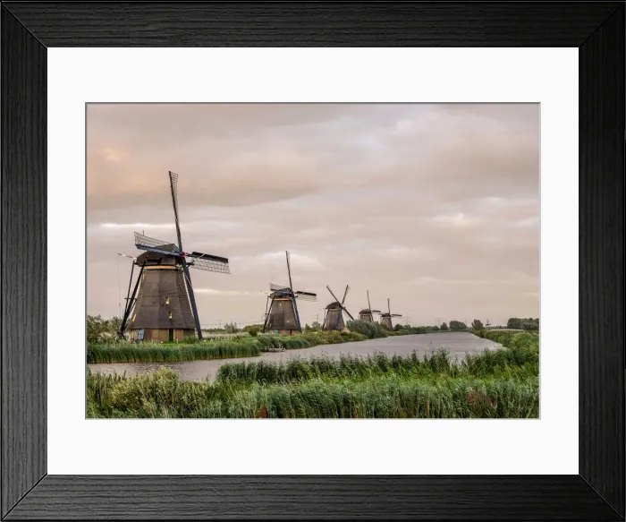 Framed Print : Windmills in Kinderdijk at sunset, UNESCO World Heritage Site, South Holland