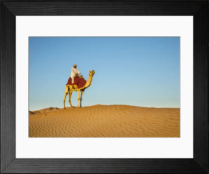 Framed Print : Camel in the Empty Quarter (Rub Al Khali), Abu Dhabi, United Arab Emirates Framed Print : Camel in the Empty Quarter (Rub Al Khali), Abu Dhabi, United Arab Emirates