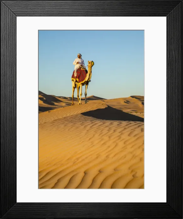 Framed Print : Camel in the Empty Quarter (Rub Al Khali), Abu Dhabi, United Arab Emirates (MR) Framed Print : Camel in the Empty Quarter (Rub Al Khali), Abu Dhabi, United Arab Emirates (MR)
