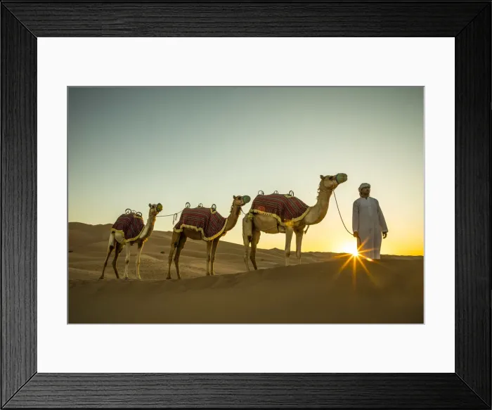 Framed Print : Camels in the Empty Quarter (Rub Al Khali), Abu Dhabi, United Arab Emirates (MR) Framed Print : Camels in the Empty Quarter (Rub Al Khali), Abu Dhabi, United Arab Emirates (MR)