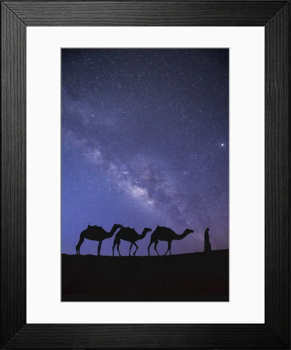 Framed Print : Camels in the Empty Quarter (Rub Al Khali), Abu Dhabi, United Arab Emirates (MR) Framed Print : Camels in the Empty Quarter (Rub Al Khali), Abu Dhabi, United Arab Emirates (MR)
