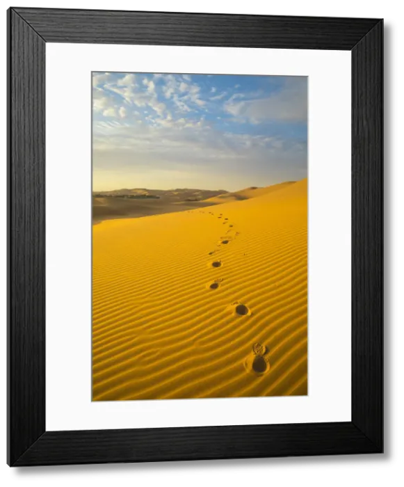 Framed Print : Empty Quarter (Rub Al Khali), Abu Dhabi, United Arab Emirates Framed Print : Empty Quarter (Rub Al Khali), Abu Dhabi, United Arab Emirates
